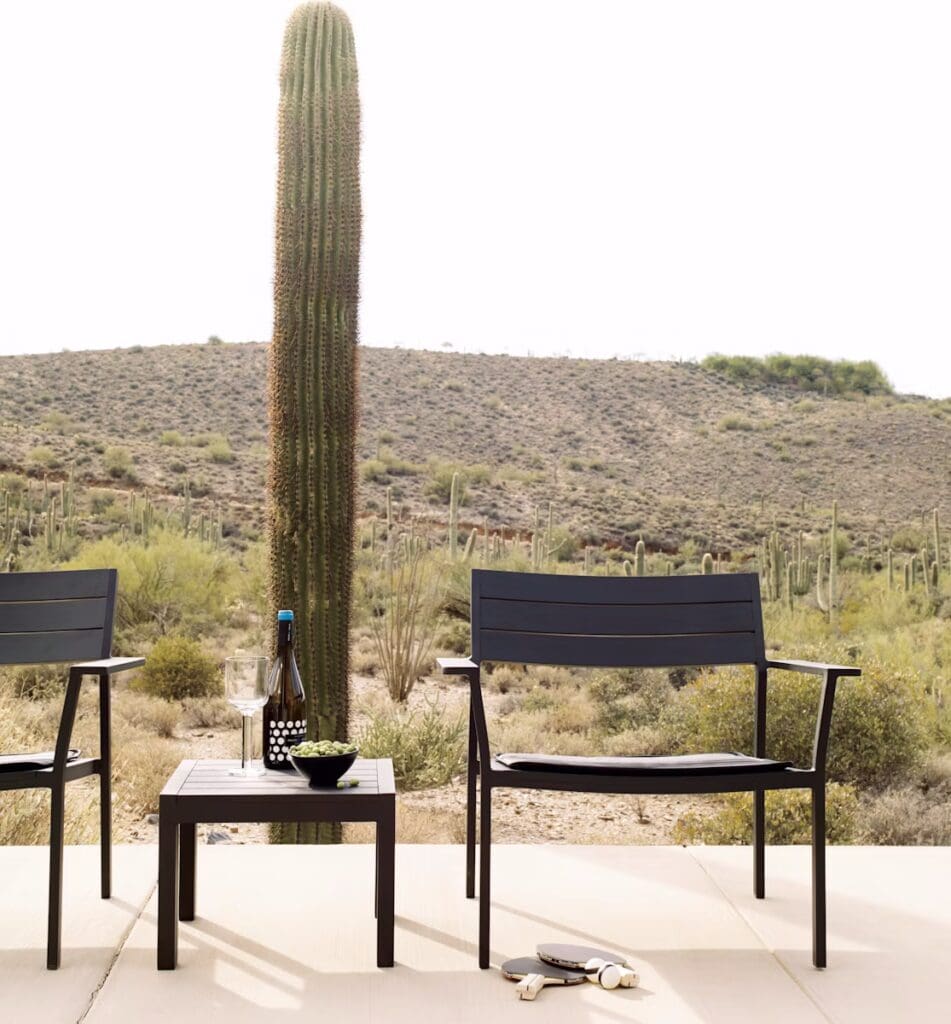 Two modern outdoor chairs on a patio with a small table in between, featuring a bottle of wine and a bowl of olives, set against a desert landscape with cacti.