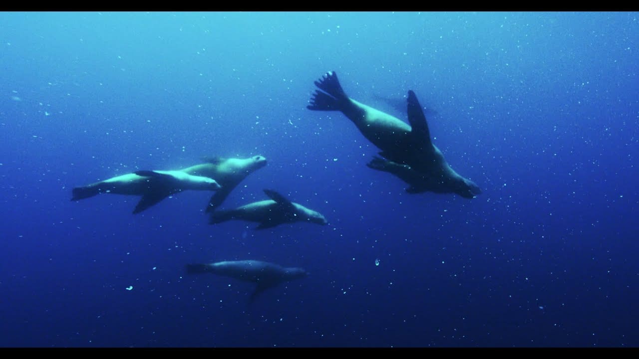 youtube placeholder image